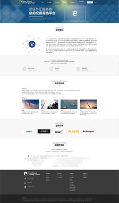 打造專(zhuān)業(yè)金融商務(wù)外匯平臺(tái)的“關(guān)于我們”網(wǎng)頁(yè)設(shè)計(jì)