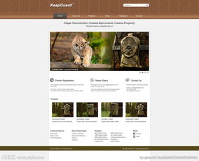 網(wǎng)站設(shè)計(jì)PSD素材全攻略 從專題解析到信息系統(tǒng)集成應(yīng)用